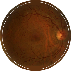 The Radiant Eye Centre Pte Ltd.
