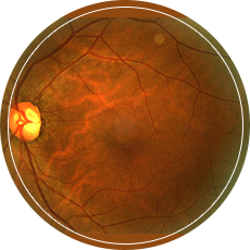 The Radiant Eye Centre Pte Ltd.